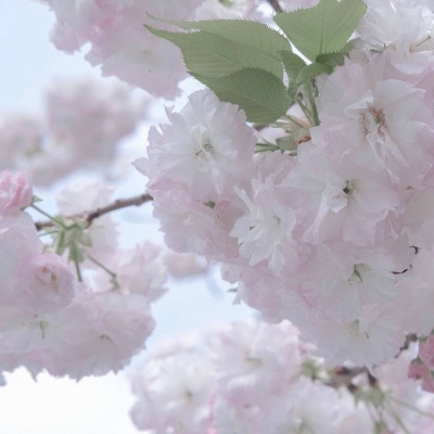 Furry绘画原创技巧兽圈社群